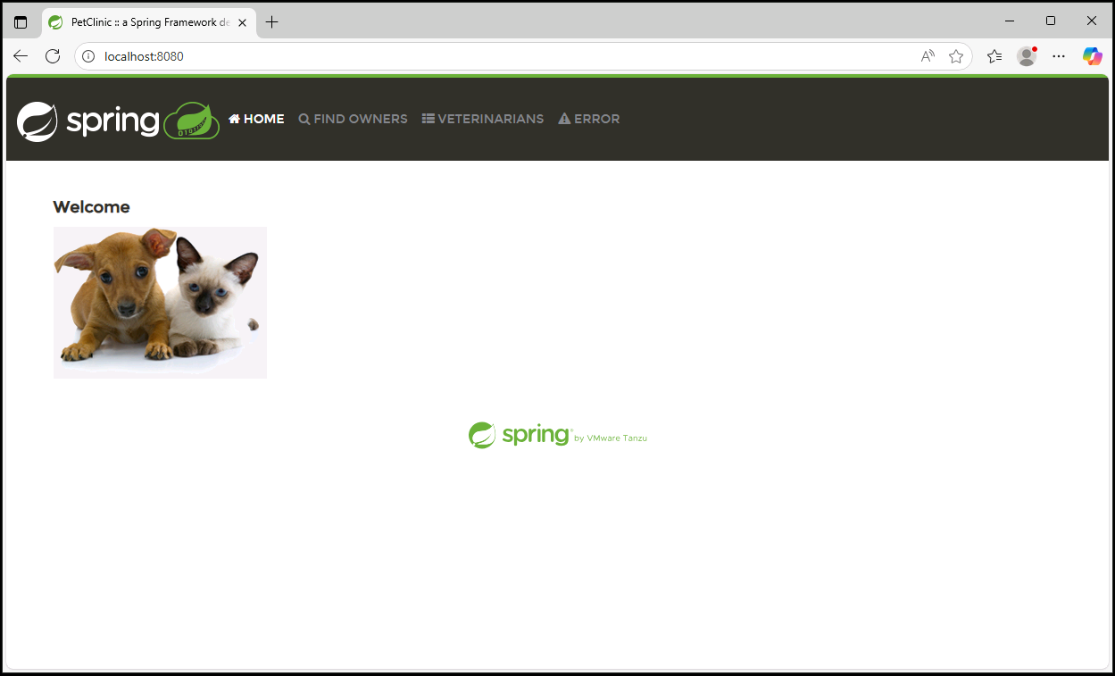 PetClinic Application Running