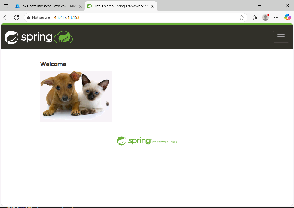 PetClinic on Azure