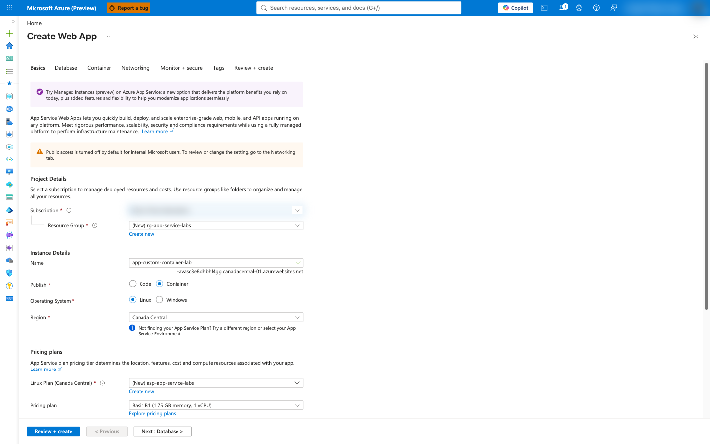 Create Web App Basics tab