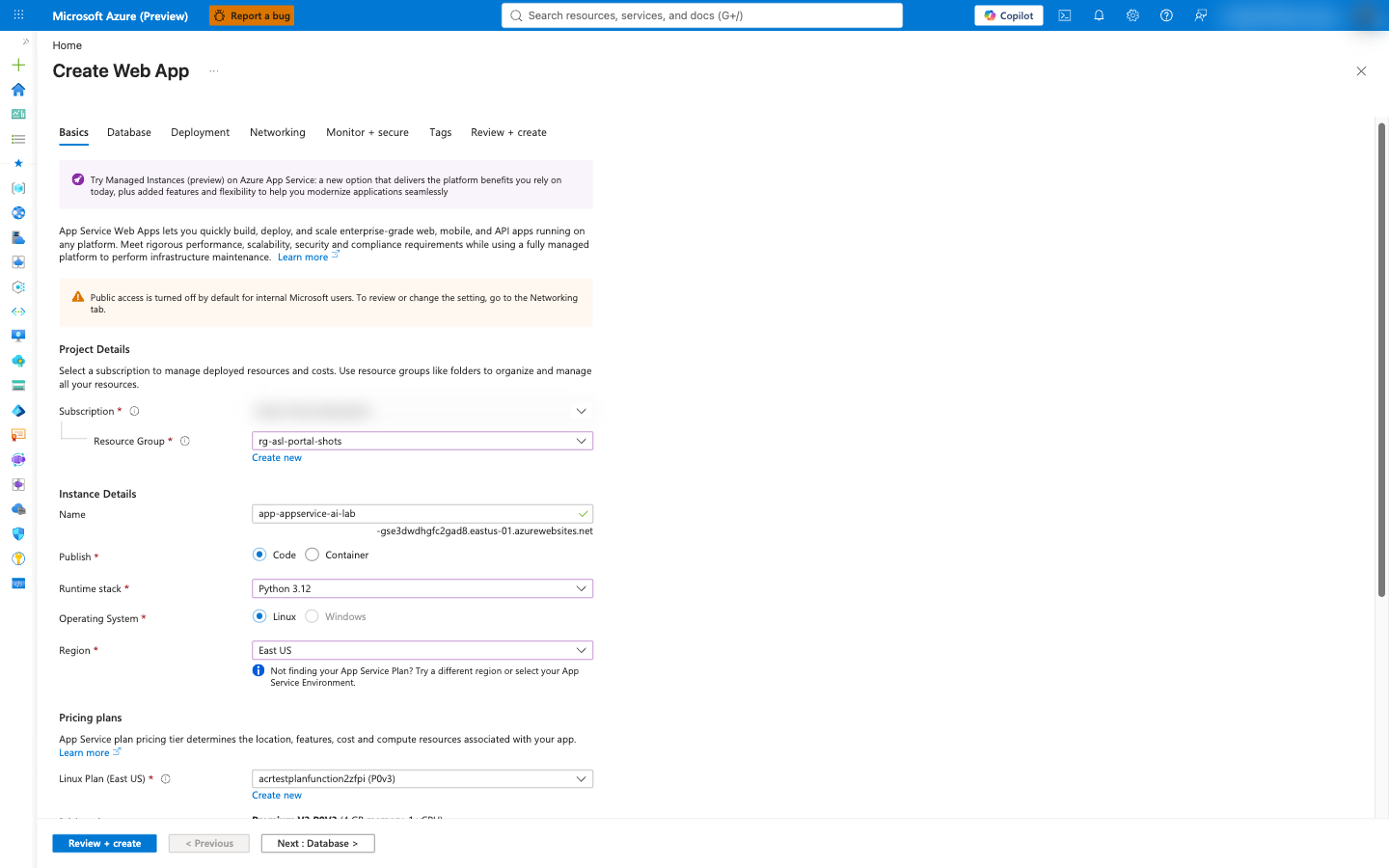 Create Web App Basics tab