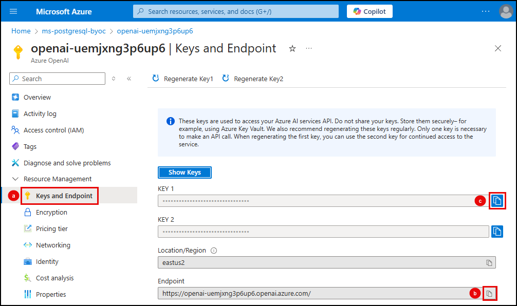 Screenshot of the Azure OpenAI service's Keys and Endpoints page, with the KEY 1 and Endpoint copy buttons highlighted by red boxes.